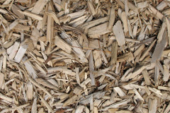 biomass boilers Bow Broom